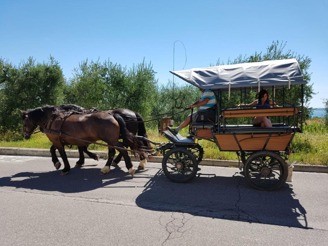 Lamasu Rioverde - Lago Di Garda サン・フェリーチェ・デル・ベナーコ エクステリア 写真